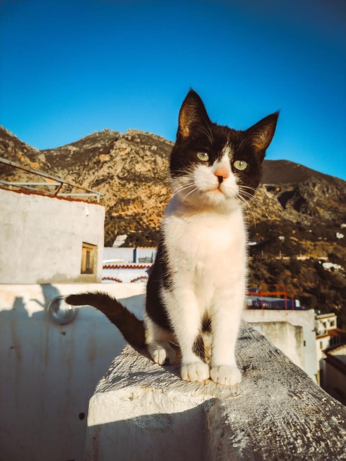 Riad La Santa シェフシャウエン エクステリア 写真